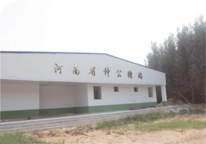 河南省种猪测定中心